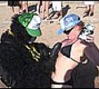 chick anal party sex stevie pussy party